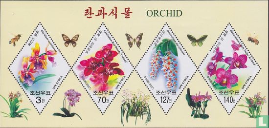 Orchideeen 