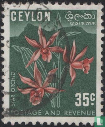 Orchidées (type I) - Image 1