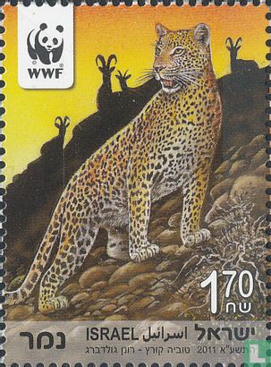 Perzisch luipaard