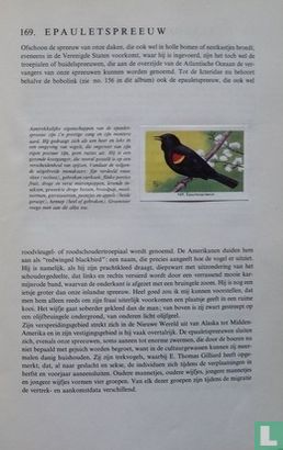 Zo leer je vogels kennen - Exotische volièrevogels - Image 3