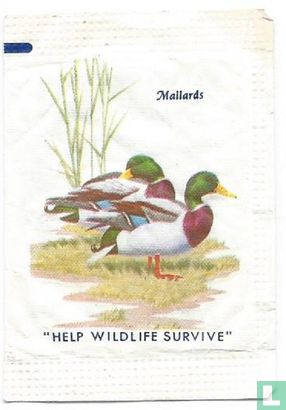 "Help Wildlife Survive" - Mallards - Afbeelding 1