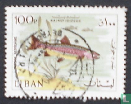 Fish