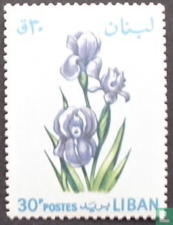 Iris