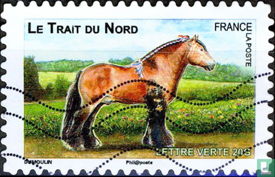 Französische Pferde
