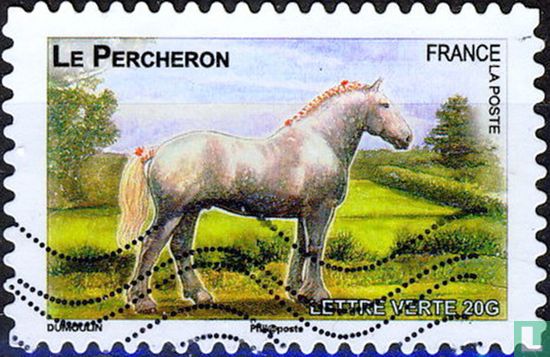 French horses