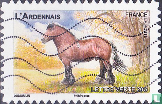 Franse streekpaarden