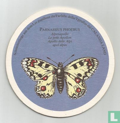 Vlinders: Parnassius Phoebus / Calanda bräu - Image 1