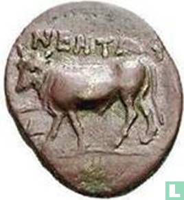 Macedonia, AE coin, 424-350 BCE - Image 2