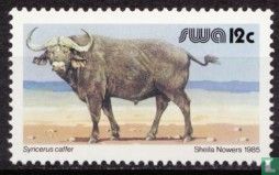 Buffalo - Image 1