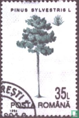 Trees