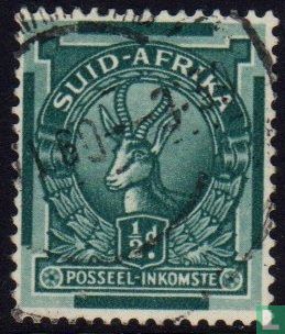 Springbok (Afrikaans)