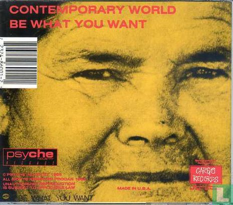 Contemporary World Be What You Want  - Image 2