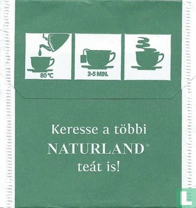 Zöld Tea - Image 2