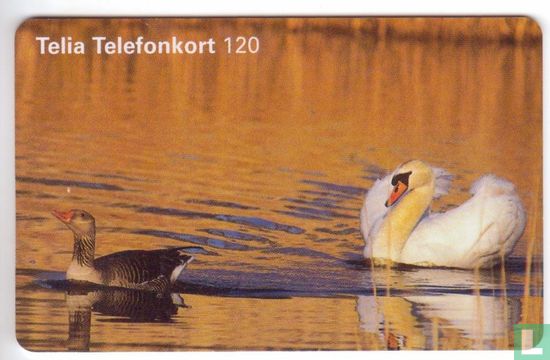 Swan with Goose - Afbeelding 1