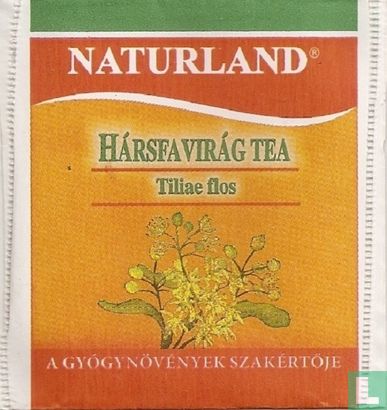 Hársfavirág Tea - Afbeelding 1