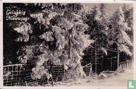 Gelukkig Nieuwjaar : Besneeuwde Dennebomen - Afbeelding 1