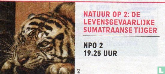 Natuur op 2: De levensgevaarlijke Sumatraanse tijger