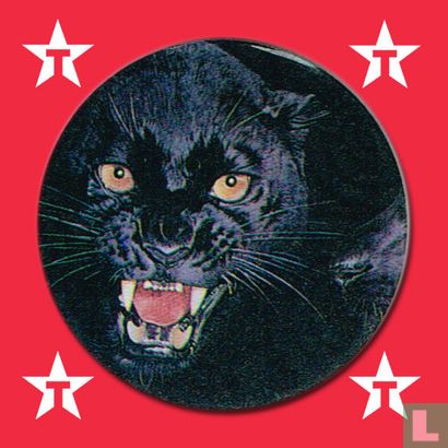 Black panther - Image 1