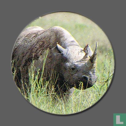 Black rhino - Image 1
