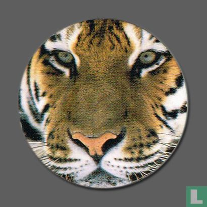Siberian Tiger - Image 1