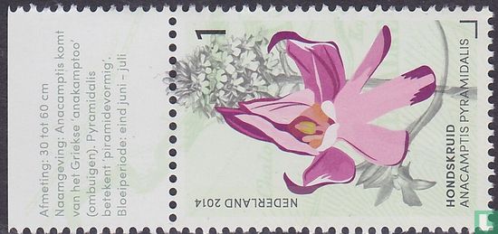Orchids of the Gerendal - Image 2