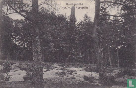 Boschgezicht pyr. v. Austerlitz. - Image 1