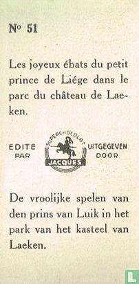 51 - Afbeelding 2