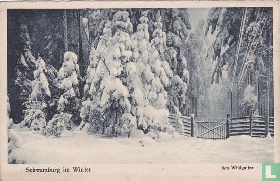 Schwarzburg im Winter Am Wildgatter - Bild 1