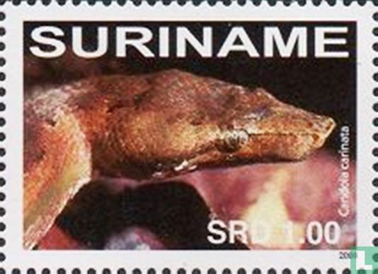Melanesische boa