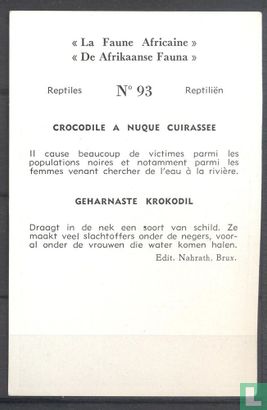 Geharnaste krokodil - Image 2