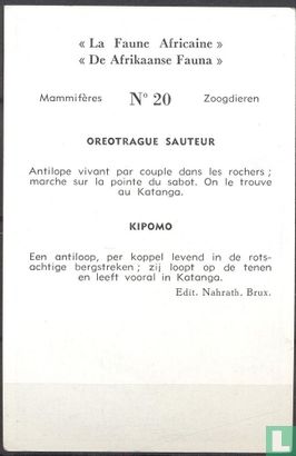 Kipomo - Image 2