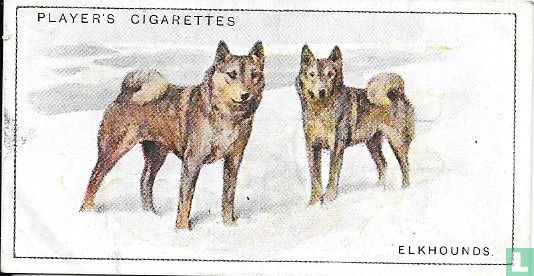 Elkhounds - Afbeelding 1