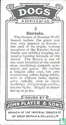 Borzois - Afbeelding 2