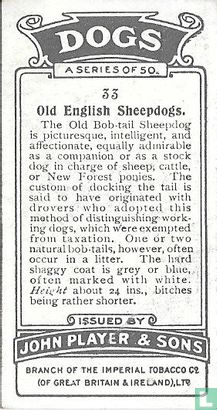Old English Sheepdogs - Afbeelding 2