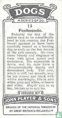 Foxhounds - Afbeelding 2