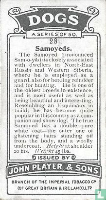 Samoyeds - Afbeelding 2