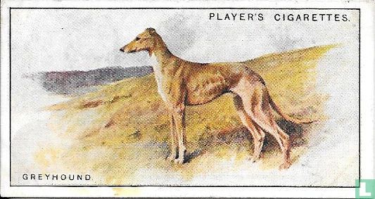 Greyhound - Image 1