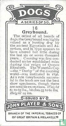 Greyhound - Image 2
