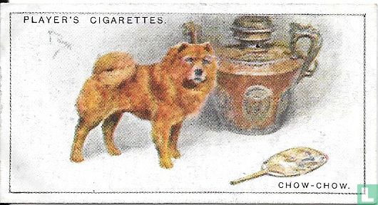 Chow-Chow - Afbeelding 1