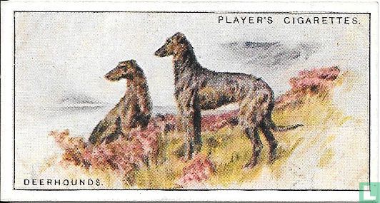 Deerhounds - Afbeelding 1