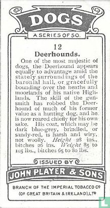 Deerhounds - Afbeelding 2