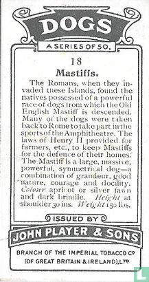 Mastiffs - Afbeelding 2