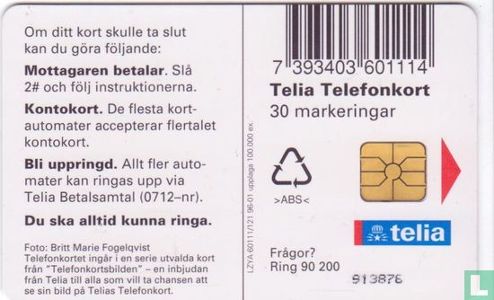 Telefonskortbilden - Image 2