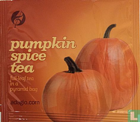 pumpkin spice tea  - Afbeelding 1