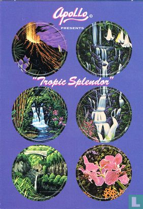 Tropic Splendor - Afbeelding 1