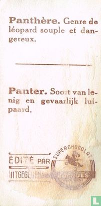 Panthère - Image 2
