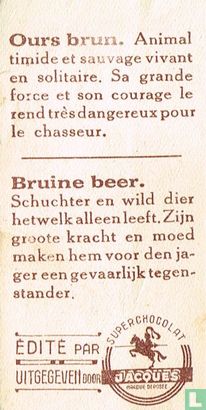 Ours brun - Image 2