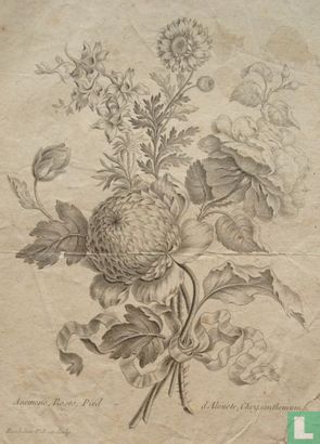 Anémone, Roses, Pied- d'Alouete, Chrysanthemum 