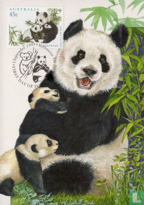 Rare animals - Panda - Image 1
