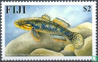 Native freshwater fish